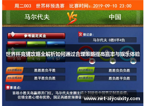世界杯竞猜攻略全解析如何通过合理策略提高赢率与娱乐体验