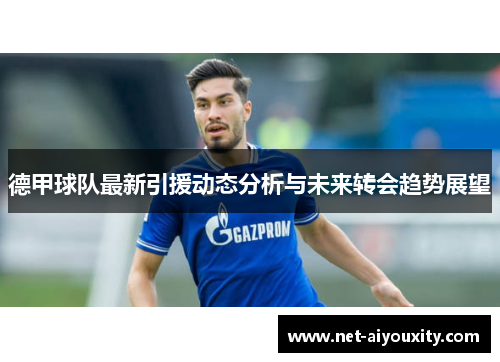 德甲球队最新引援动态分析与未来转会趋势展望