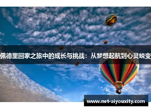 佩德里回家之旅中的成长与挑战：从梦想起航到心灵蜕变