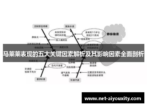 马莱莱表现的五大关键因素解析及其影响因素全面剖析