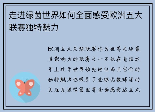 走进绿茵世界如何全面感受欧洲五大联赛独特魅力